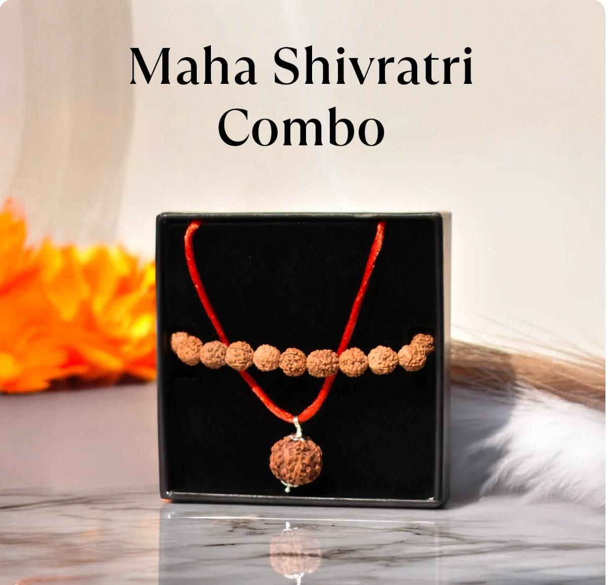 5 Mukhi Rudraksha With Bracelet